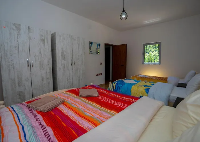 Arditi's Holiday home *