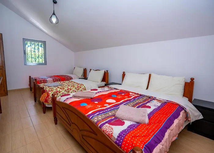 Arditi's Holiday home Shkoder