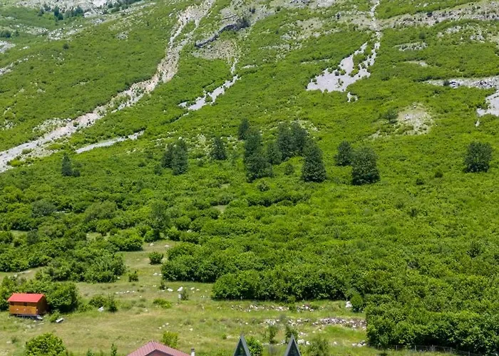 Arditi's Holiday home